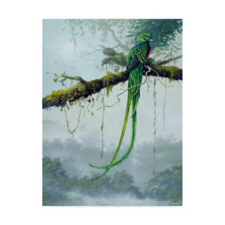 Harro Maass 'Resplendent Quetzal' Canvas Art,14x19